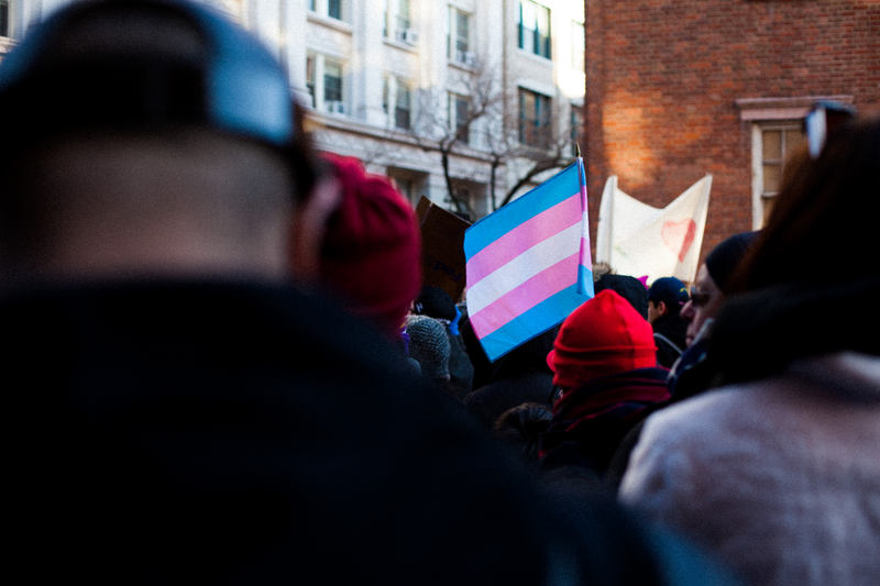 Illustration for article titled FAGS, FLAGS, AND POSTERS